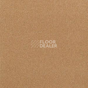 Ковролин Brintons Majestic Baja m 296 фото 1 | FLOORDEALER